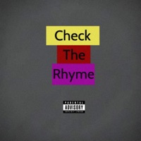 Check the Rhyme - Single - Amirical