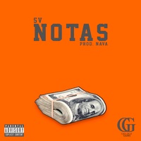 Notas - Single - SV