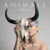 Animals - Single