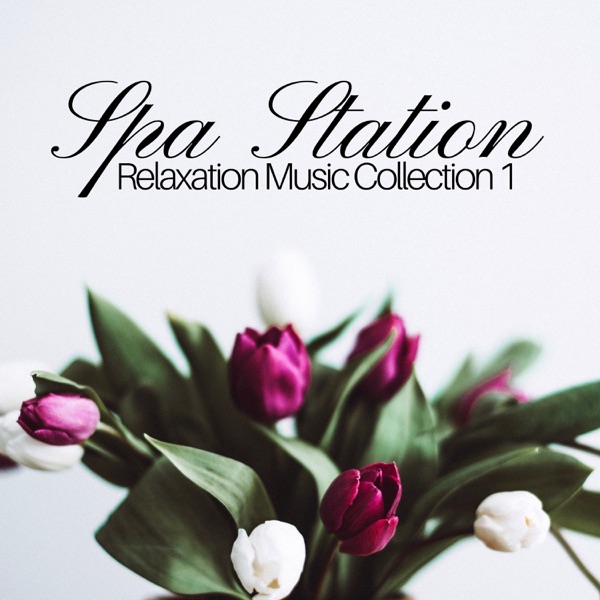 Spa Station - Relaxation Music Collection 1
