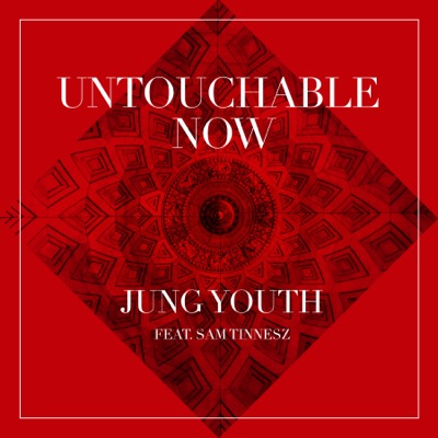 Untouchable Now (feat. Sam Tinnesz) - Single
