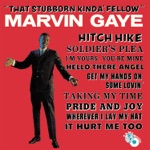 Marvin Gaye - Stubborn Kind of Fellow