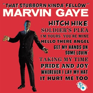 That Stubborn Kinda' Fellow