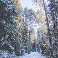 Sweater Weather (feat. Fuzzy) - Single - Finessenfeld