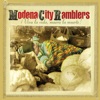 Modena City Ramblers