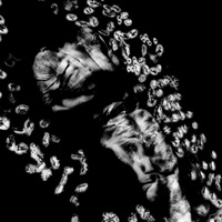 Album cover for Corpse by Walls