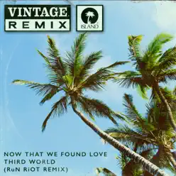 Now That We Found Love (RuN RiOT Remix) - Single - Third World