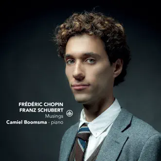 Nocturnes, Op. 48: No. 1 Lento in C Minor by Camiel Boomsma song reviws