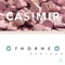 Casimir (Slvmber Remix) - Thorne lyrics