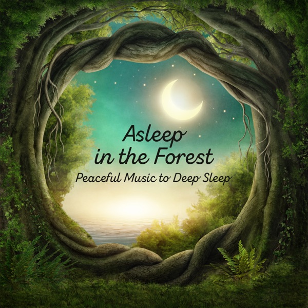 Asleep in the Forest: Peaceful Music to Deep Sleep, Natural Insomnia Cure, Relaxation & Stress Relief