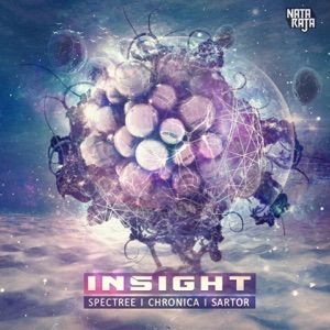 Insight - Single