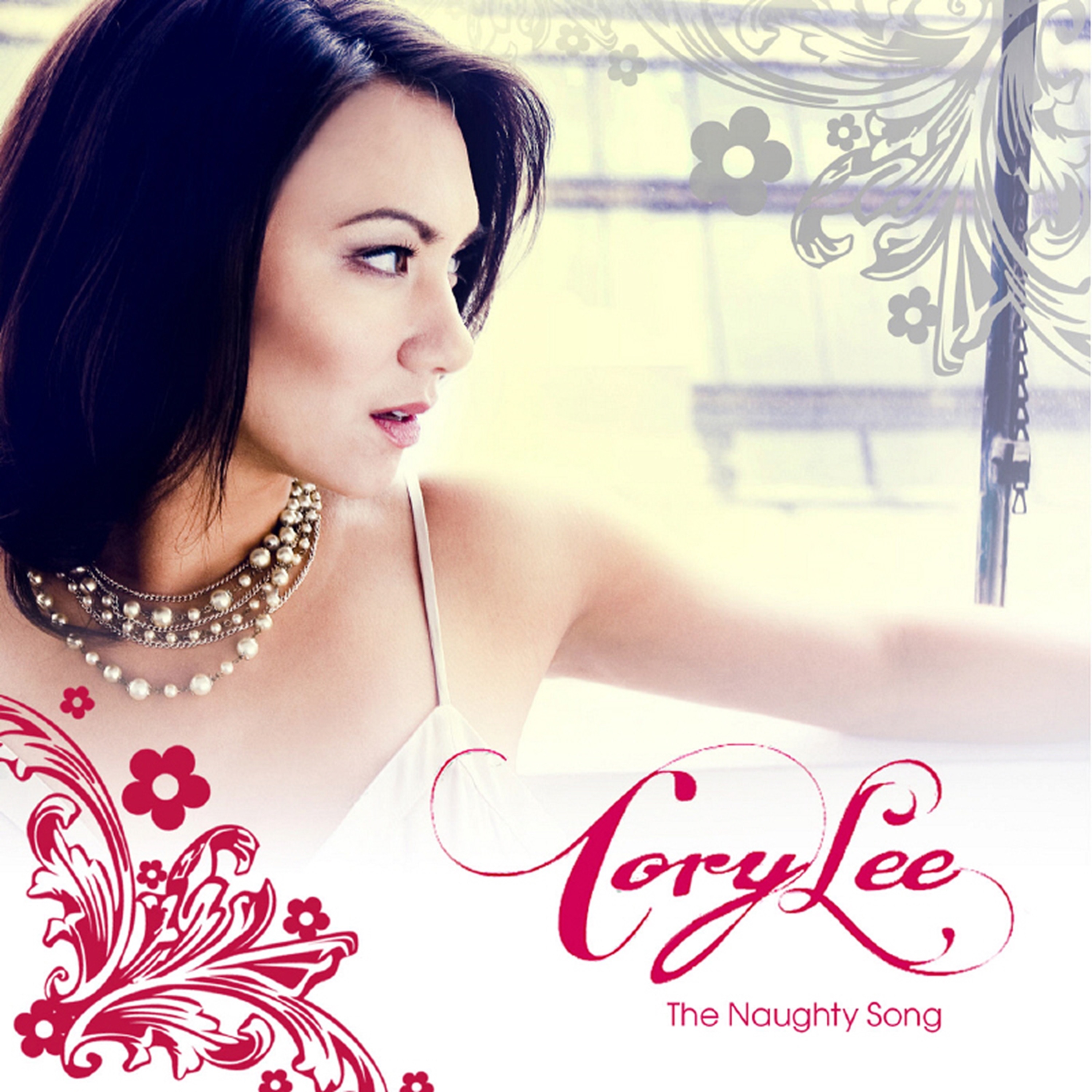 The Naughty Song - Single