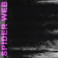 Spider Web - EP - fish narc, Clams Casino & Wicca Phase Springs Eternal