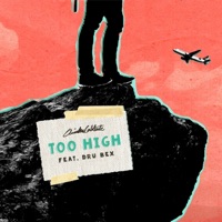 Too High (feat. Dru Bex) - Single - Quinten Coblentz