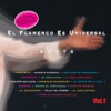 El Flamenco Es Universal, Vol. 1