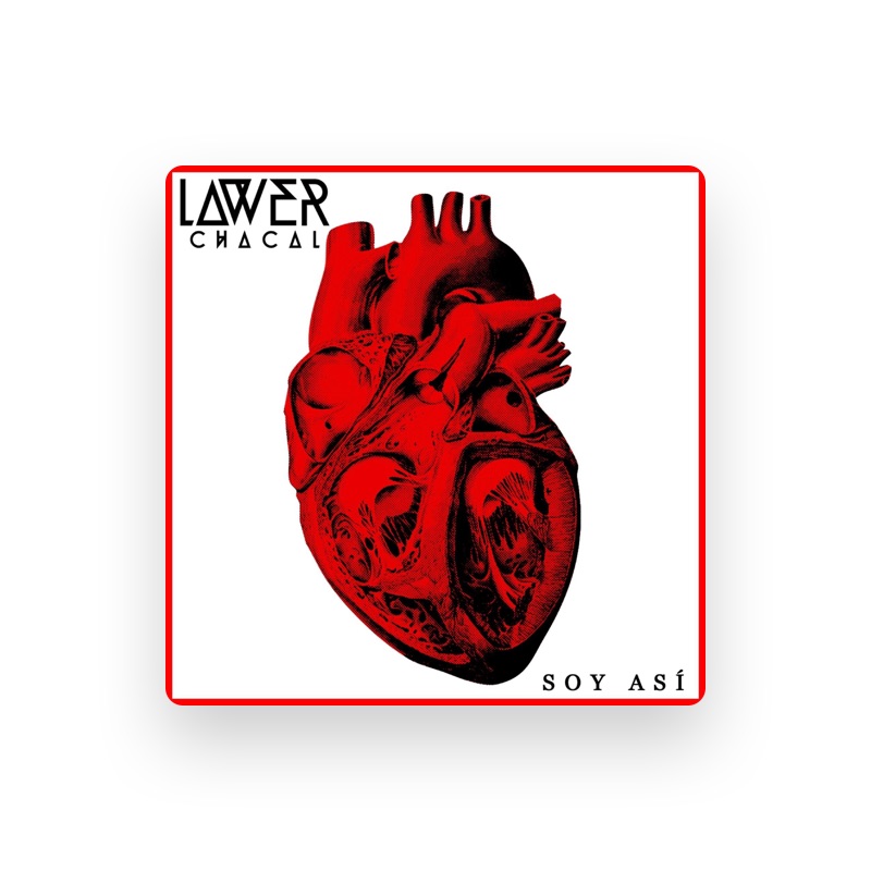 Lawer