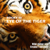 Eye of the Tiger Wild Guitar Ver. - Ten on Gen