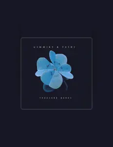 聆聽 Gimmiks、觀看音樂影片、閱讀小傳、查看巡演日期等！