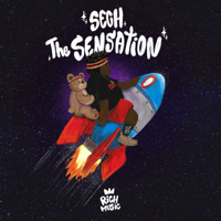 Sech - The Sensation artwork