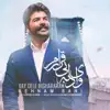 Behnam Bani - Vay Dele Bighararam