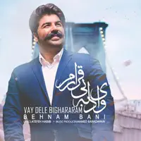 Vay Dele Bighararam — Behnam Bani
