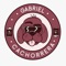 Eu Sou Fake Dói - Gabriel Cachorrera lyrics