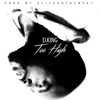 Too High - Single - D.King