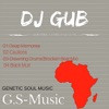 dj gub - black mutt