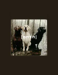 Listen to Data, watch music videos, read bio, see tour dates & more!