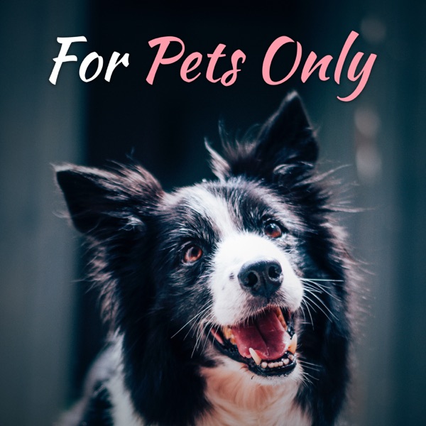 For Pets Only: Calming Sounds for Dog & Cat Relaxation, Calm Dow Your Puppy, Kitty, Stress Relief and Anxiety Help, Sounds for Pet Ears