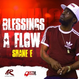 Blessings a Flow Shane E