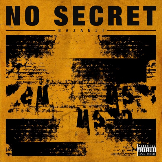Cover artwork for No Secret