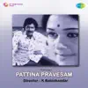 S.P. Balasubrahmanyam - Vaan Nila Nila, Pt. 1