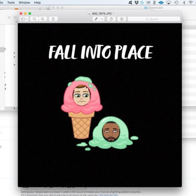 Fall Into Place (feat. Nikko Miles) - Single