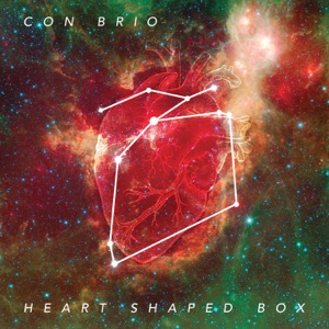 Heart Shaped Box - Single