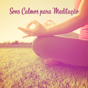 Sons Calmos para Meditação: Sons da Natureza para Relaxamento, Treinamento de Ioga, Chuva Relaxante