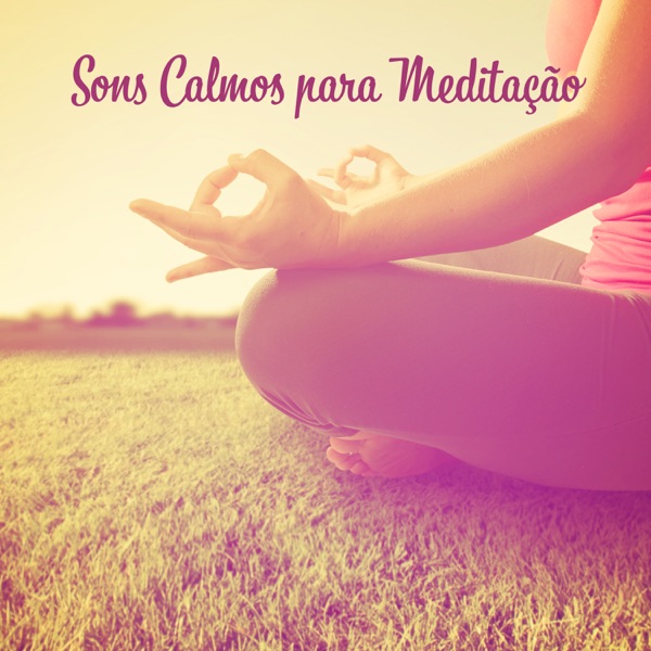 Sons Calmos para Meditação: Sons da Natureza para Relaxamento, Treinamento de Ioga, Chuva Relaxante
