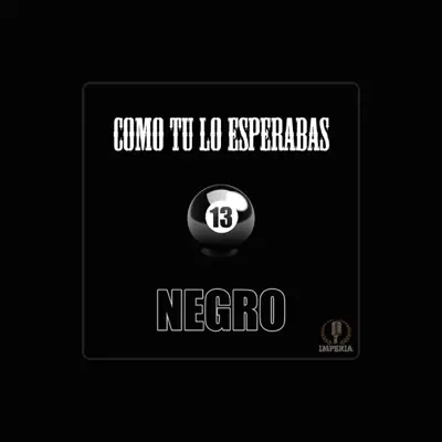 Listen to 13 Negro, watch music videos, read bio, see tour dates & more!