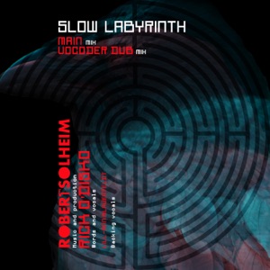 Slow Labyrinth (feat. Rick O'Disko & Lill-Ann Blauenfeldt) - Single