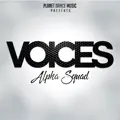 Voices