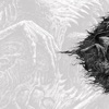 Coprobaptized Cunthunter - Perseveration of Delirious Comprehensiveness