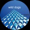 Stiga - Wild Dogs lyrics