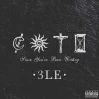 Since You've Been Waiting - 3LE