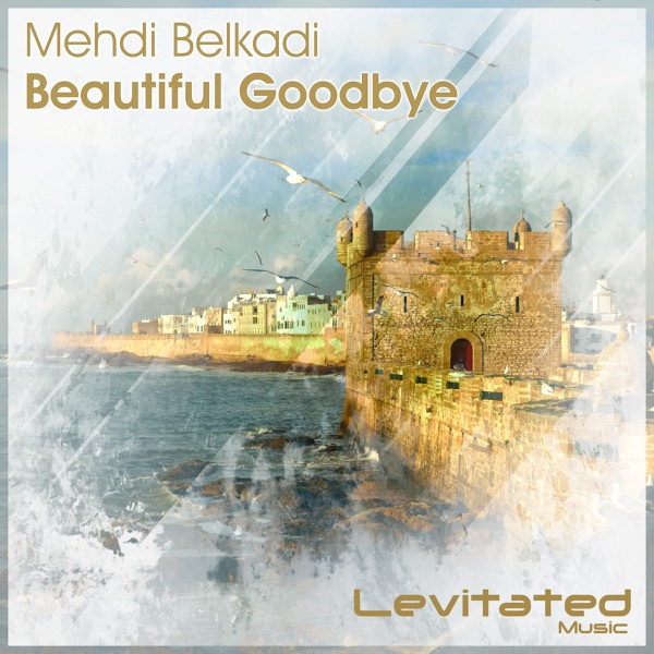 Beautiful Goodbye - Single