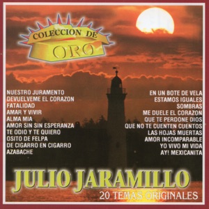 Colección De Oro 20 Temas Originales