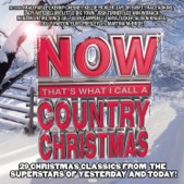 Burl Ives - A Holly Jolly Christmas - Single Version