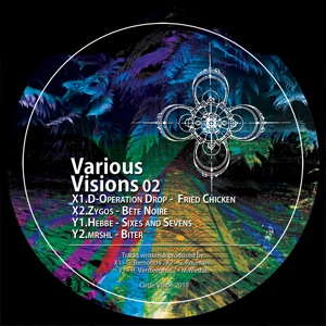 Various Visions 02 (feat. mrshl, Hebbe & Zygos) - EP