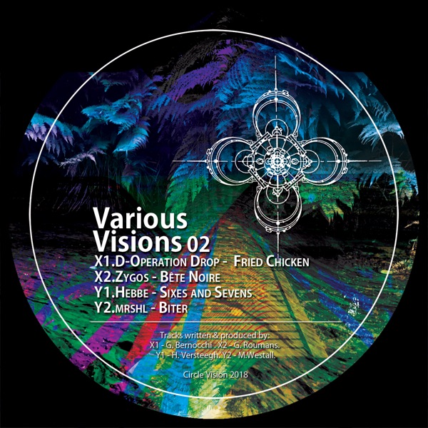 Various Visions 02 (feat. mrshl, Hebbe & Zygos) - EP
