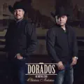 Mi Unico Camino