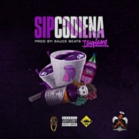 Sip Codiena - Single - Tsunami